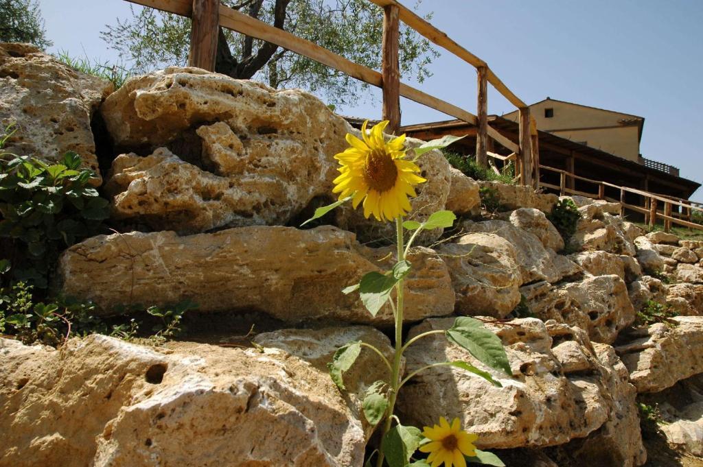 Agriturismo Campo Antico Hostal Orte Exterior foto
